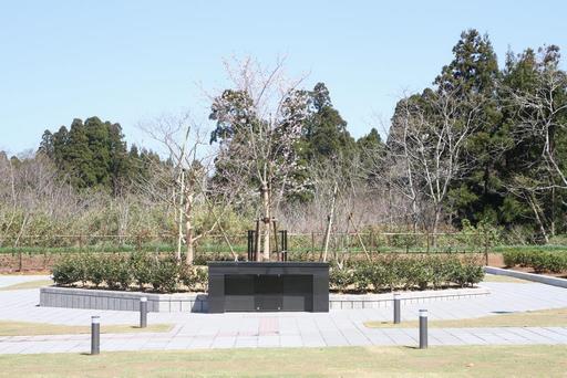 埋葬墓
