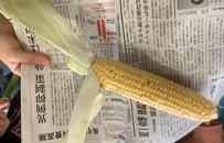 新化造形6